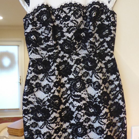 LK Bennett Lavinie White with Black Floral Lace Overlay Dress NWT USA Size 4 - Picture 12 of 14